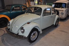 Donna's Beetle